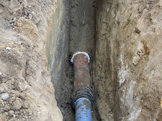  Alamosa East, CO Water damage restoration Pros
