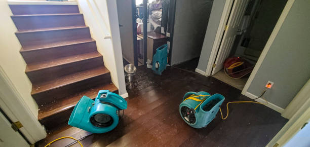 Best Flood restoration services  in Alamosa East, CO