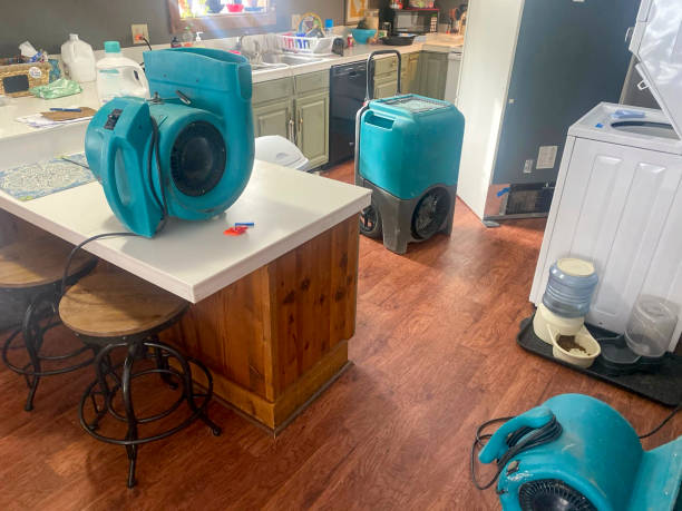 Water damage restoration insurance claims in CO