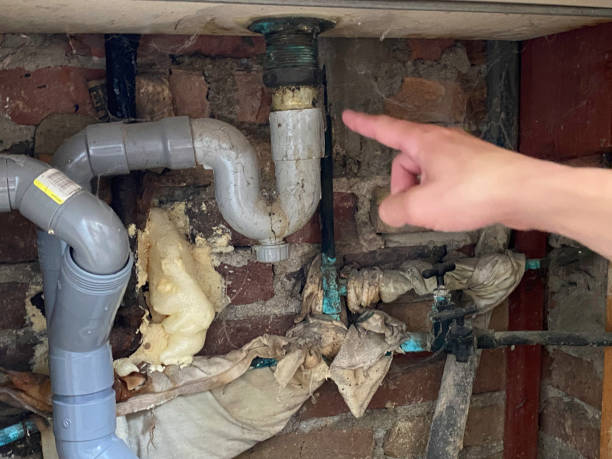 Trusted CO Water damage restoration Experts
